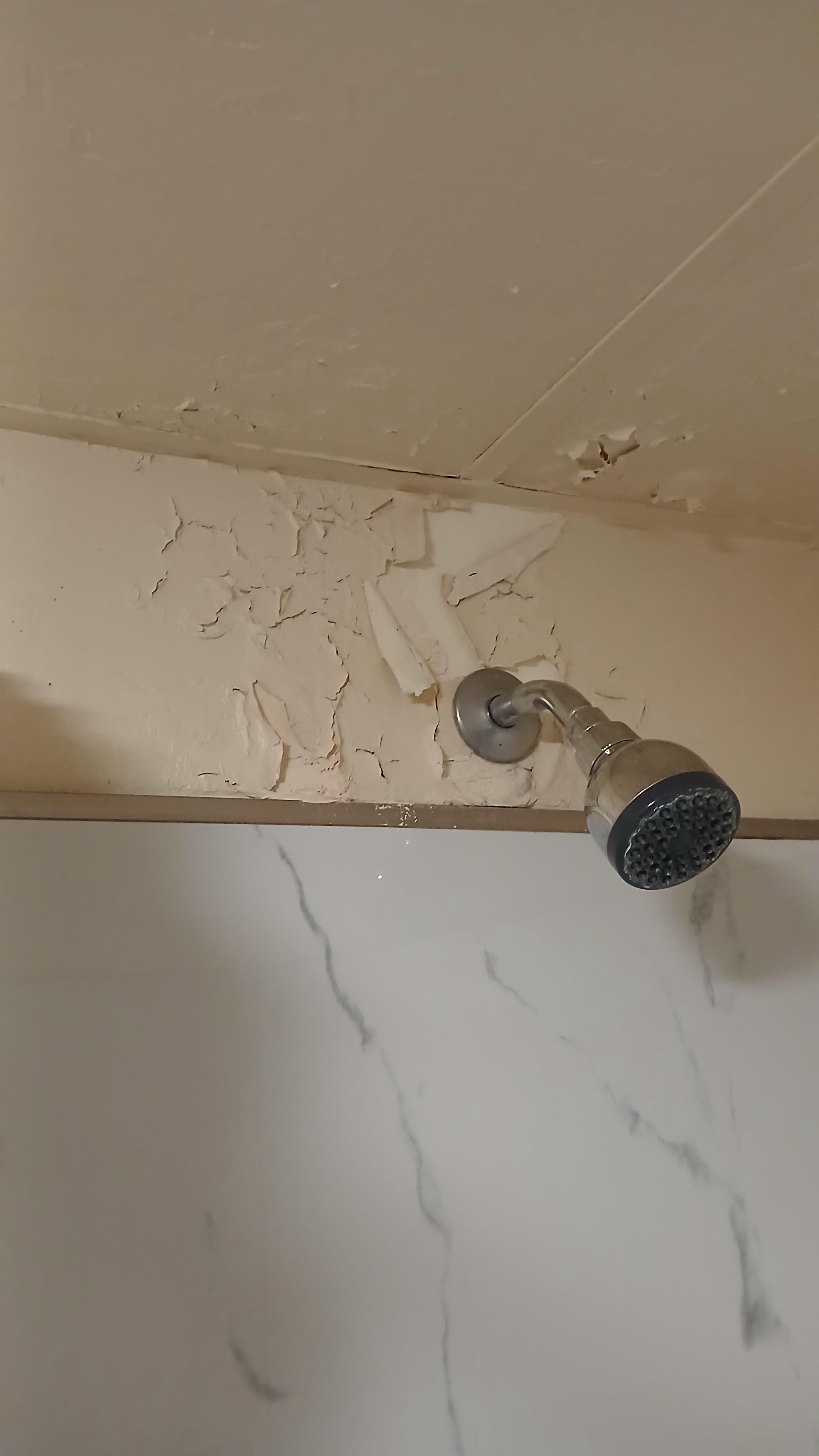The wall where the shower head comes out is peeling paint so bad it falls off into the tub.