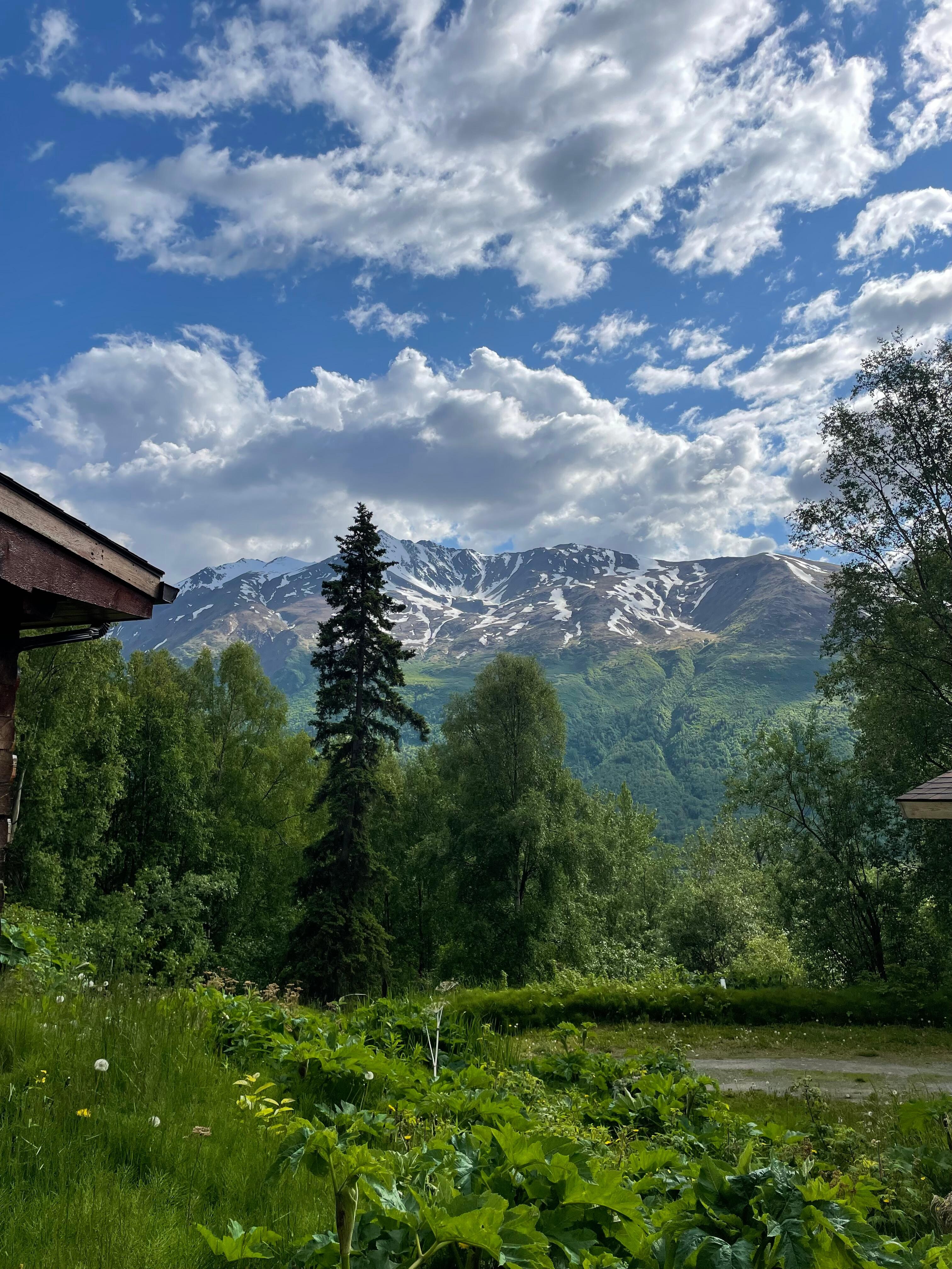 Driveway view