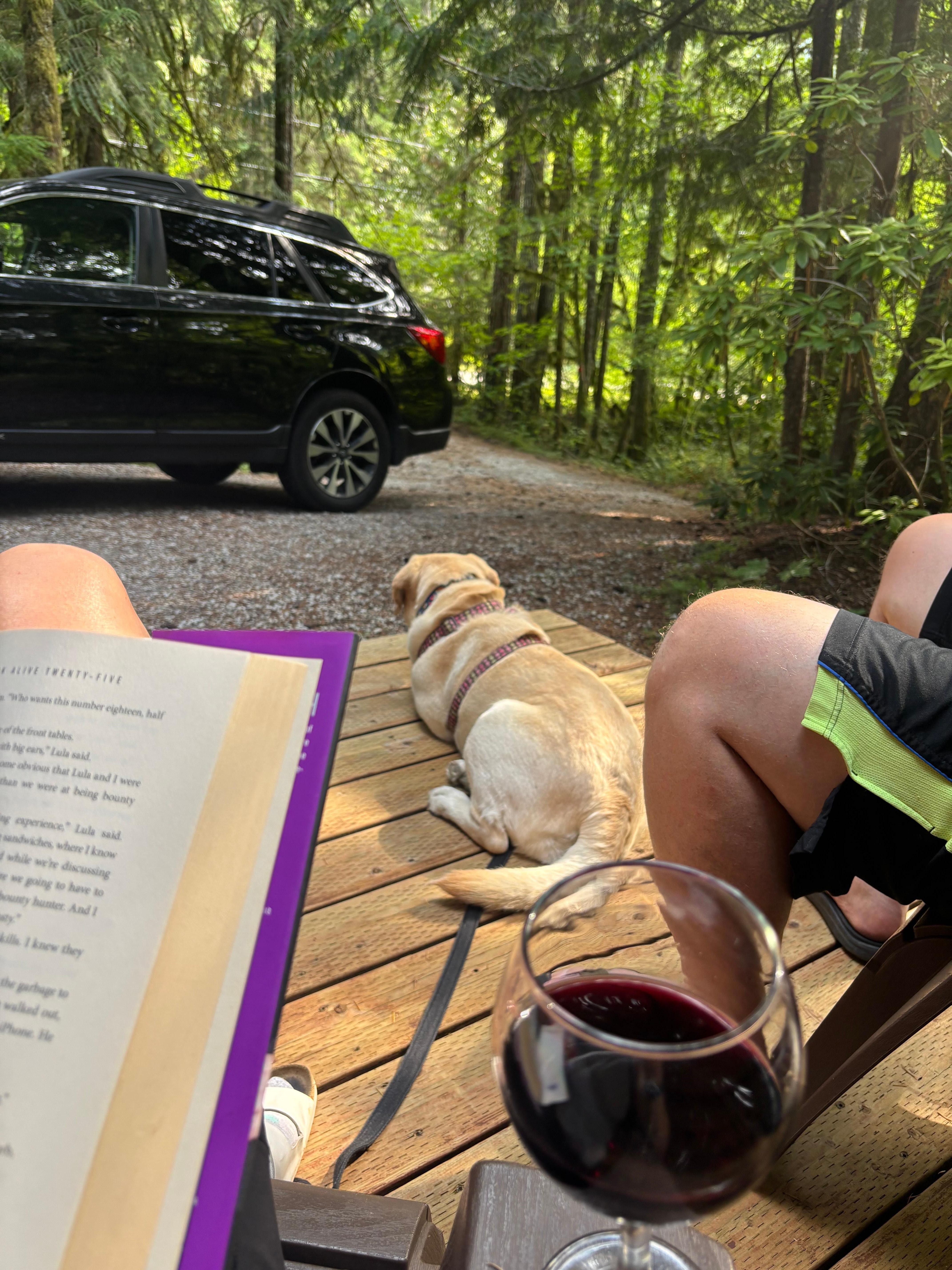 5 o’clock somewhere 