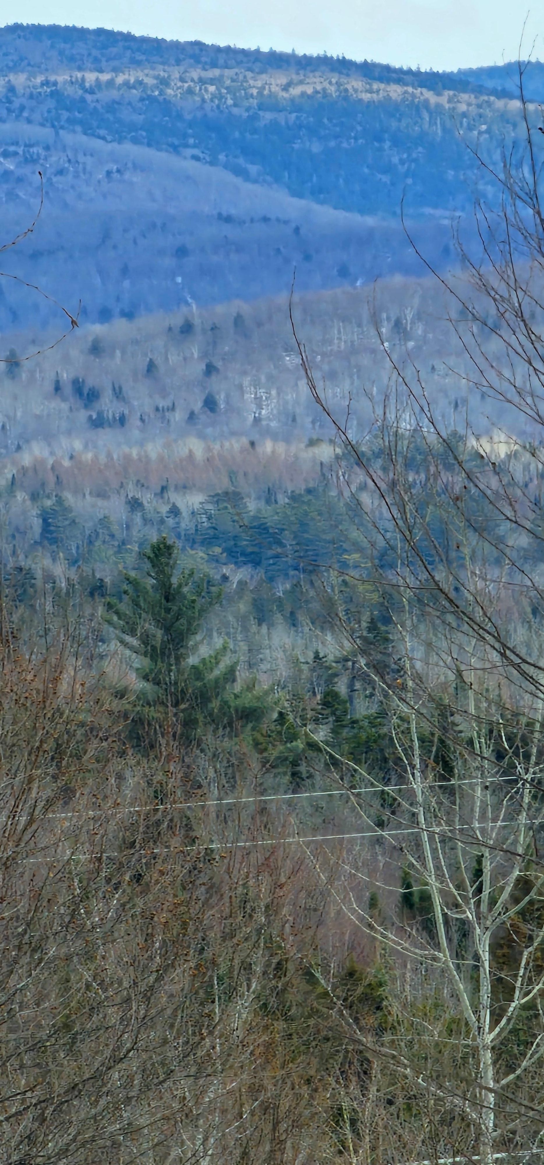 Beautiful mountain view while hunting 
