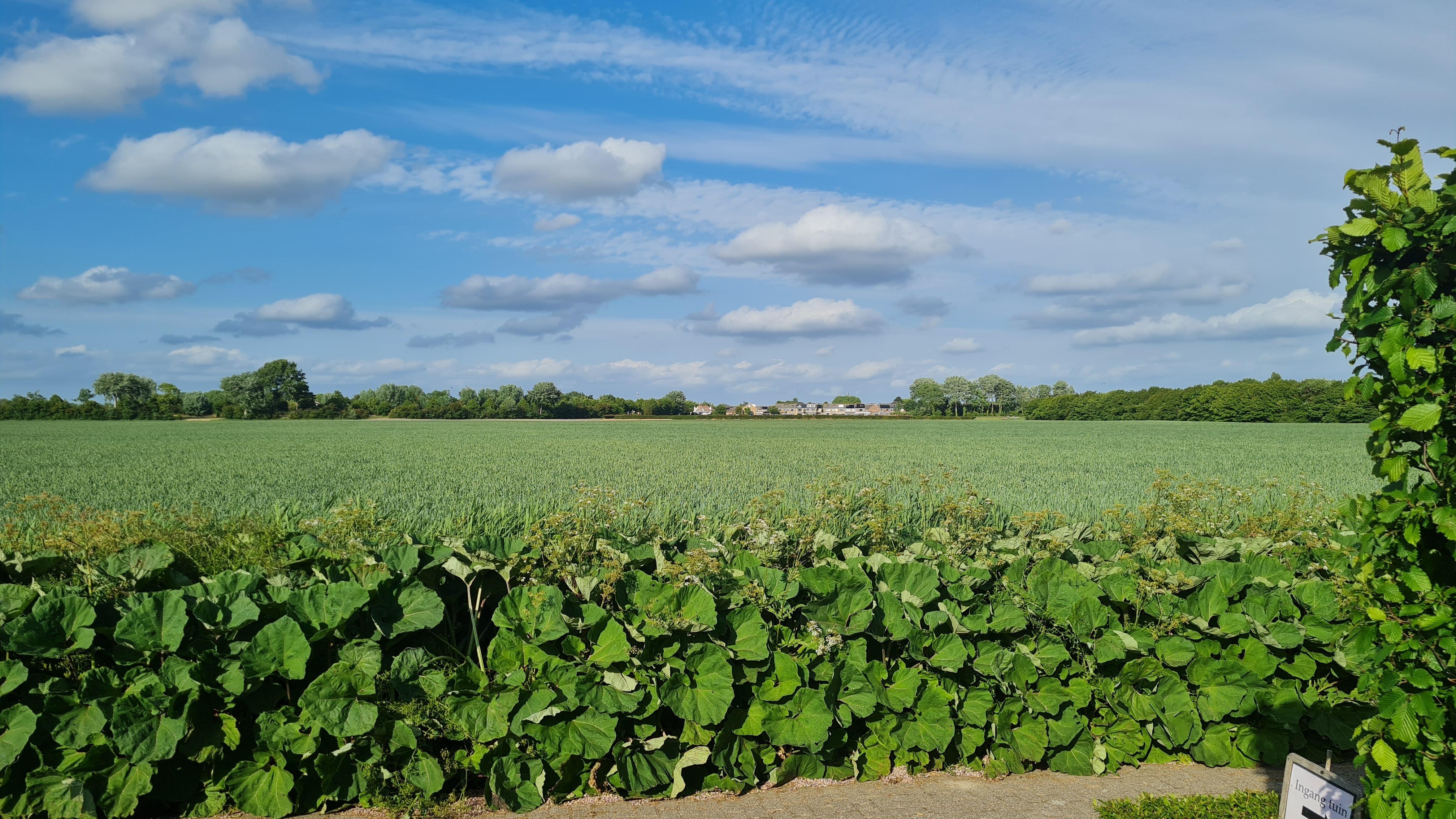 Blick von der Terrasse