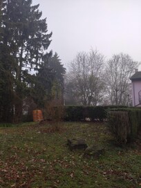 冬の朝、ホテルの敷地内