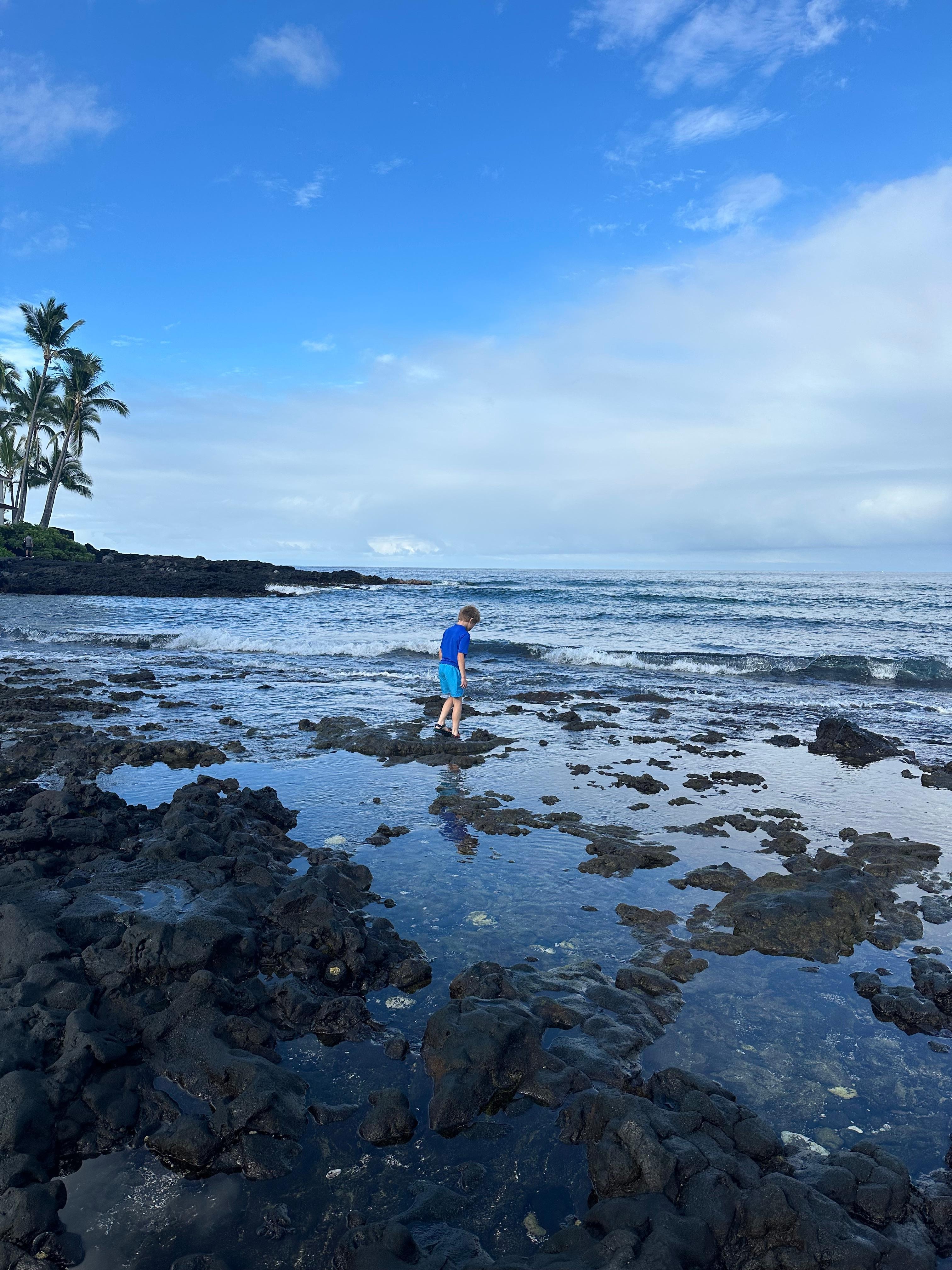 Excellent tide pools! 