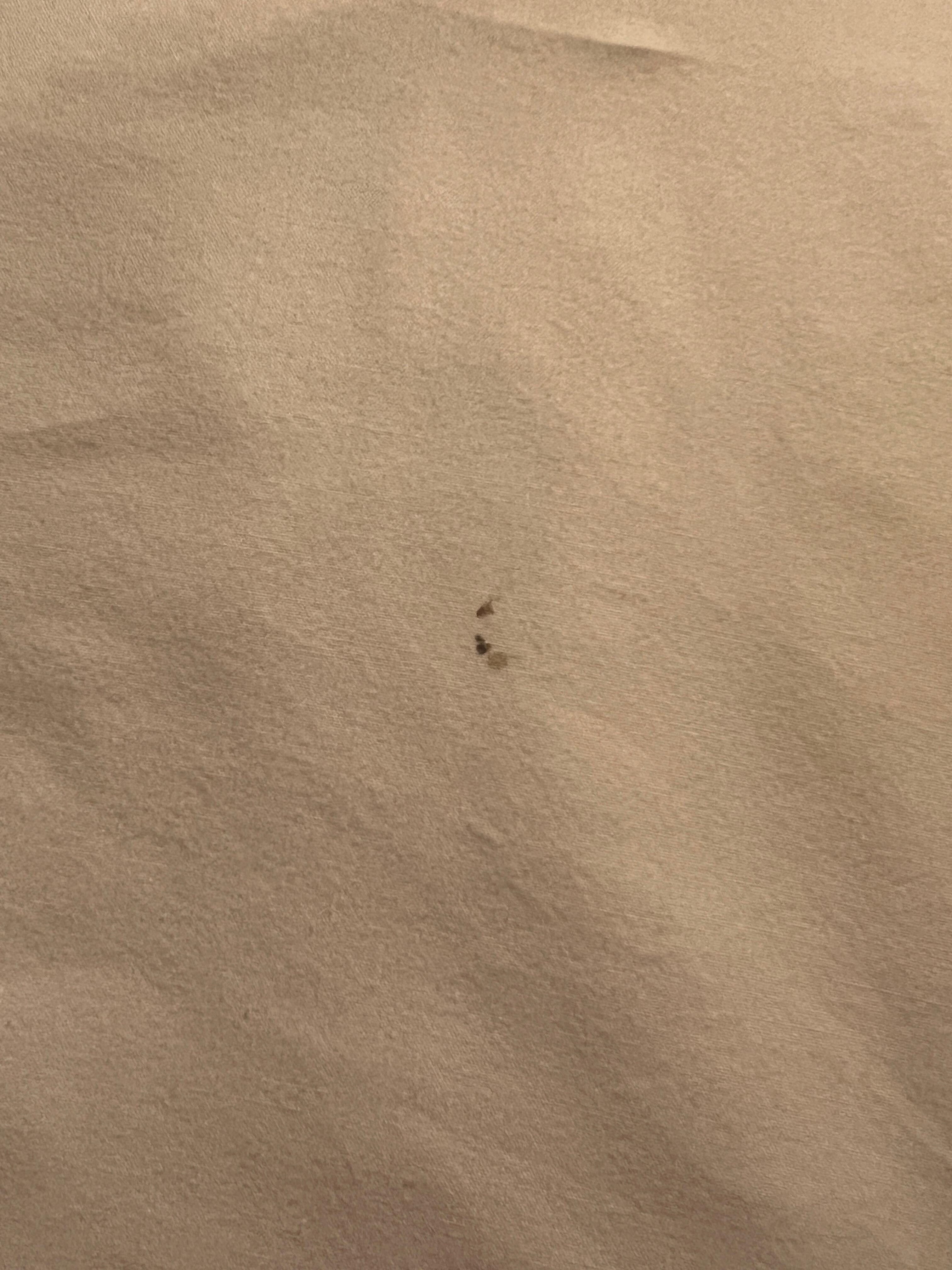 Gnarly stain on sheet 