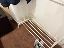 Walls full of mould
