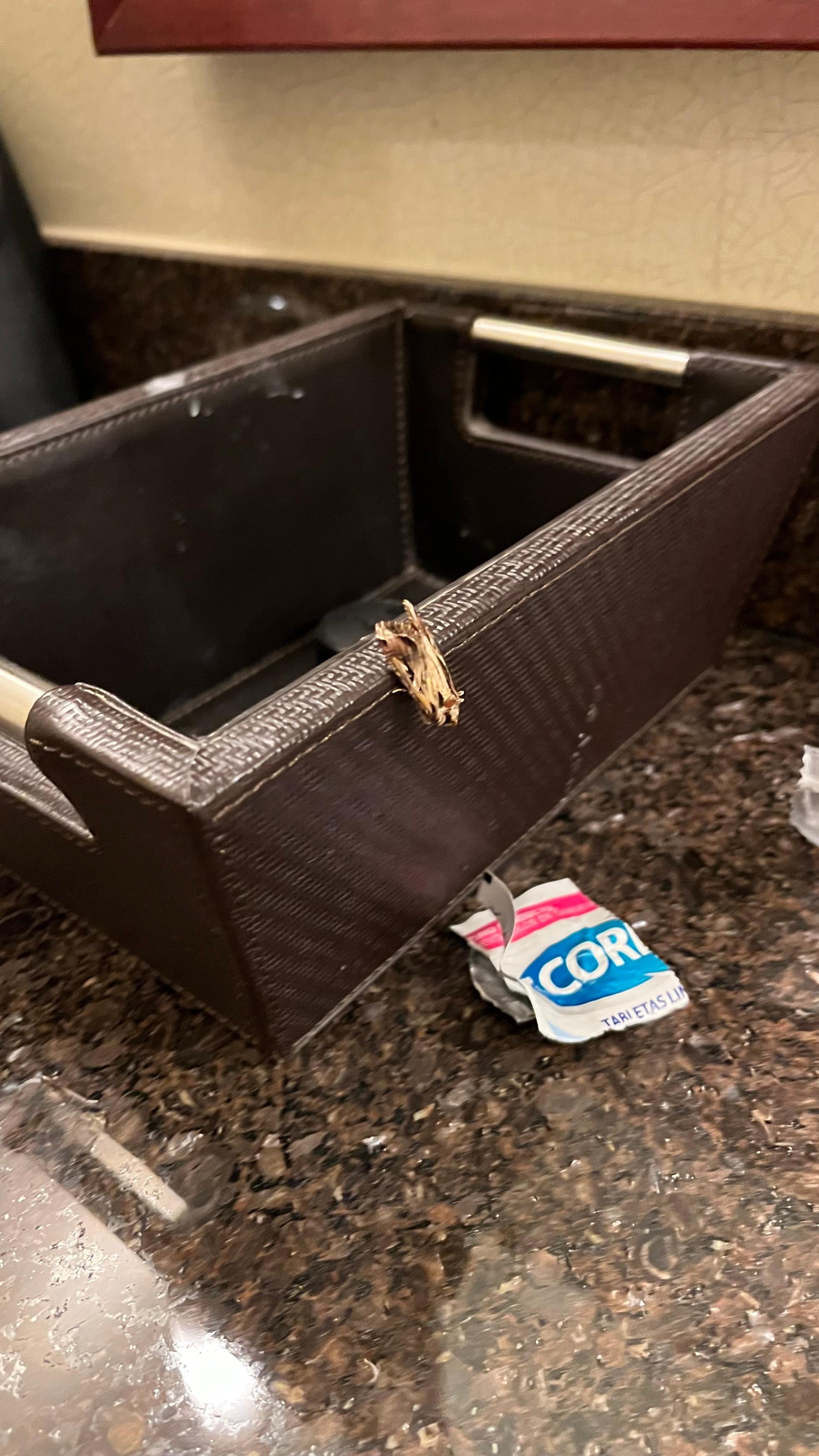 Polilla en baño
