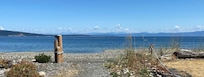The beachfront looking south
