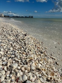 Tigertail Beach is amazing for shelling!