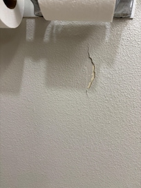 Plaster in the bathroom peeling