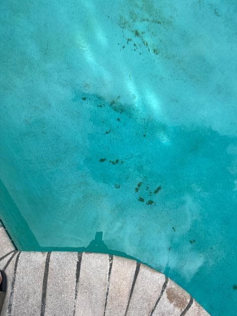 Green sediment on bottom of pool