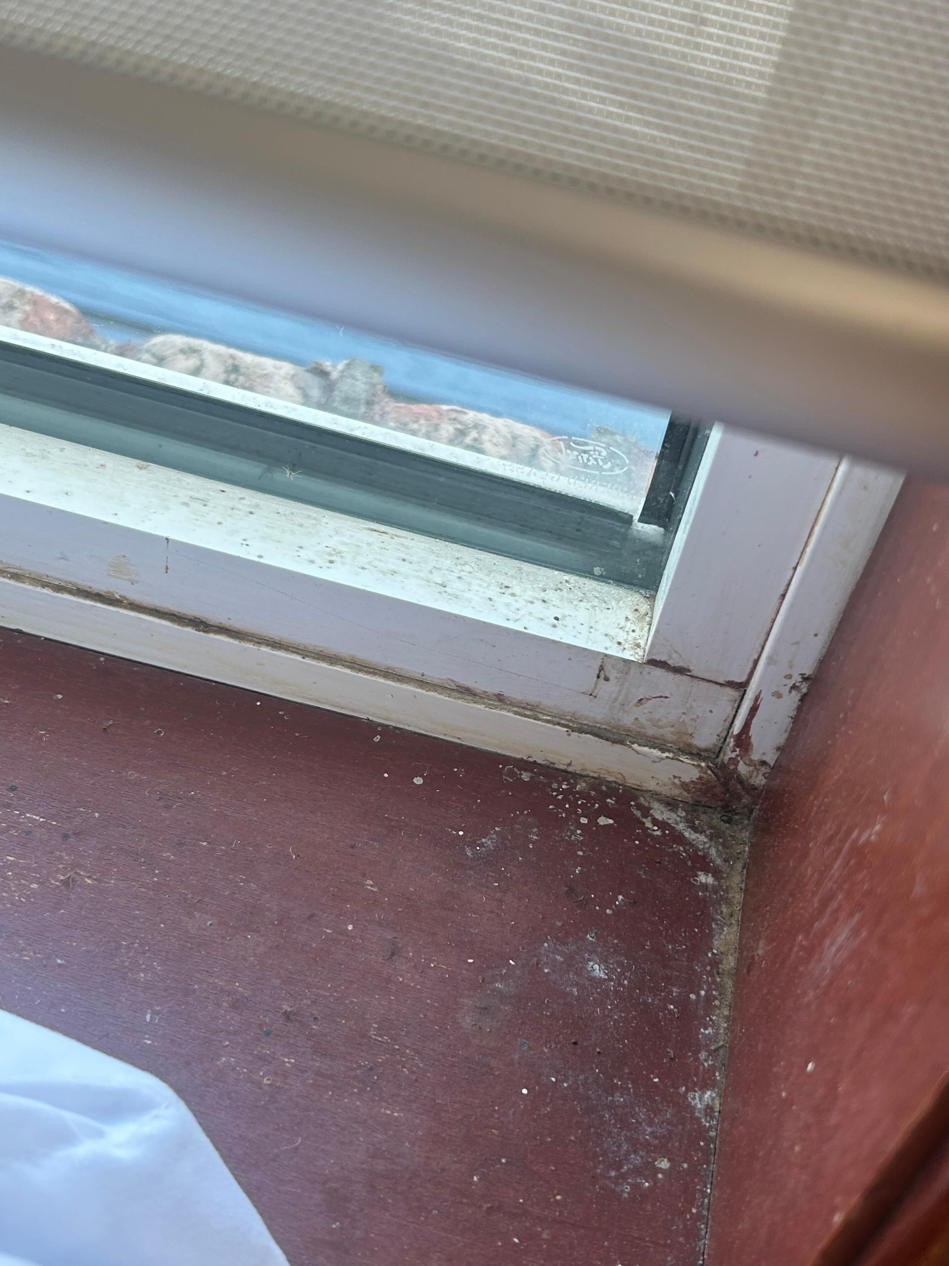 Upstairs window sill. 