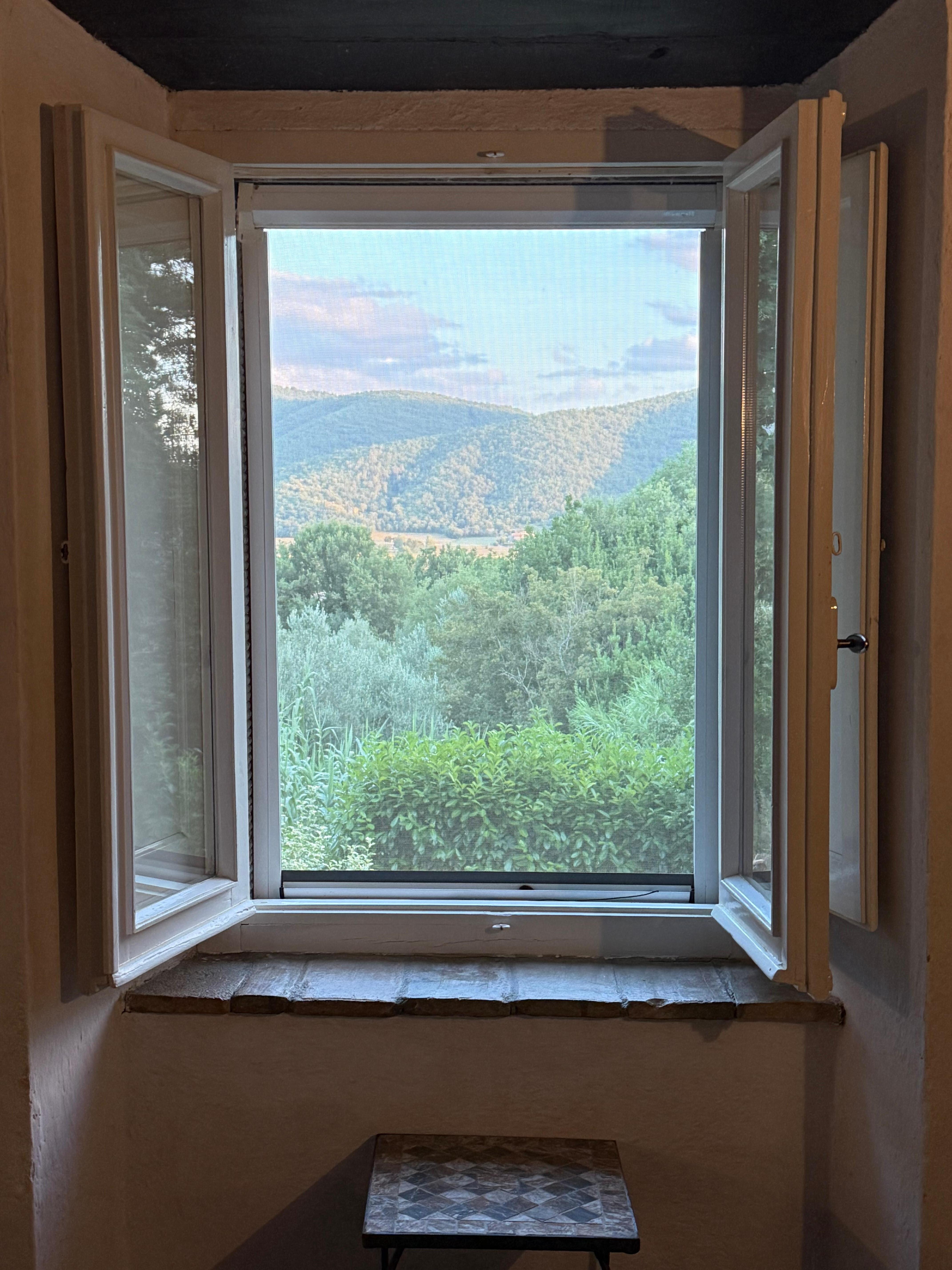 View into the valley