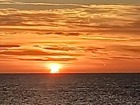 Every morning without fail!