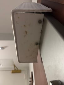 Food on the light by the bed. Didn’t even want to touch it.