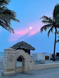 Full moon, pink sky