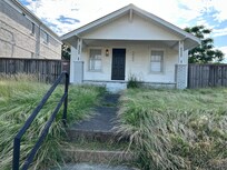 Grass over a foot tall