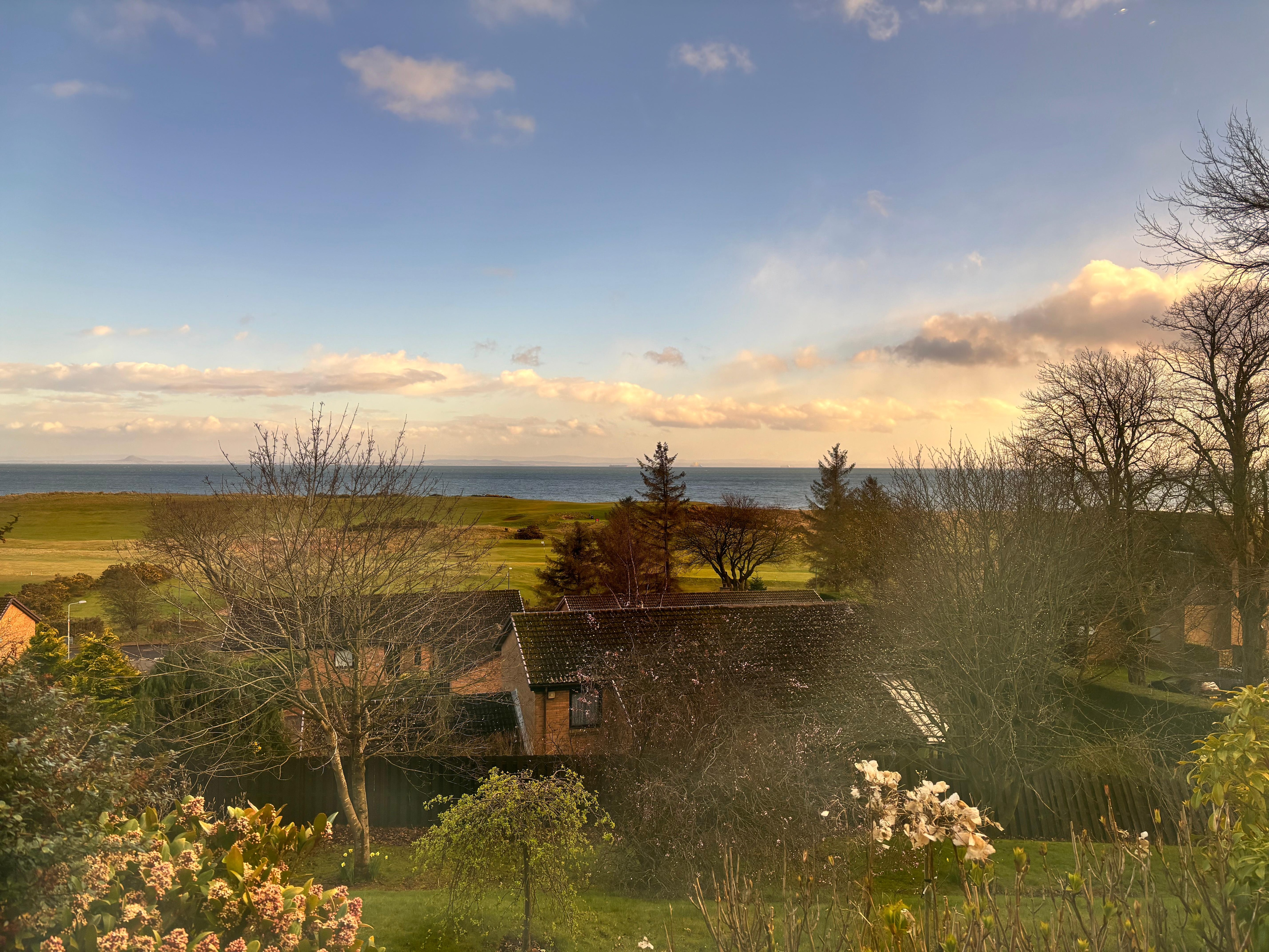 Lovely view from the conservatory. 