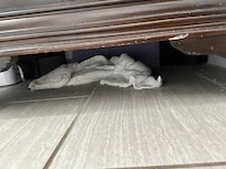 Dirty linens from previous guests