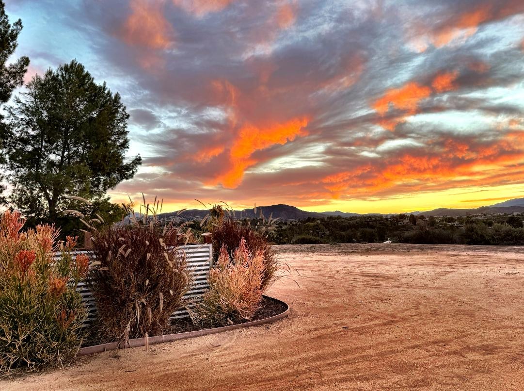 Beautiful view at sunrise 