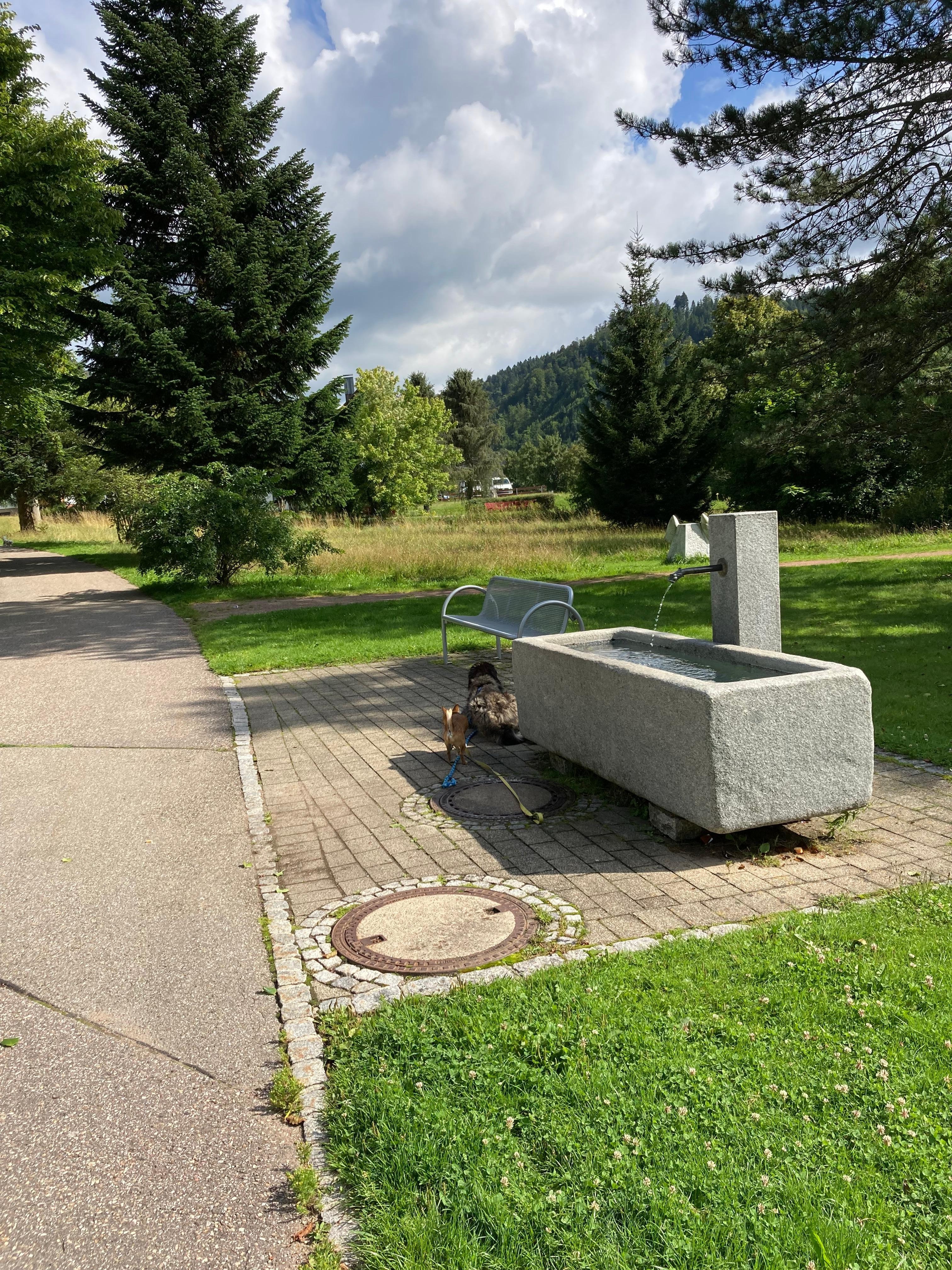 Schöner Park beim Friedhof