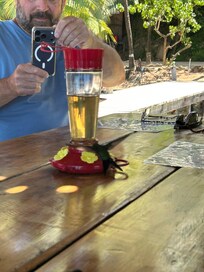 Hummingbird lunch on an island tour.