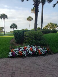 Beautiful grounds at Sea Dunes!