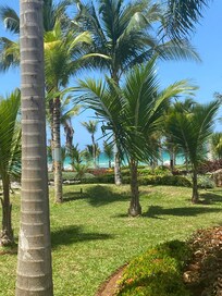 The grounds while walking to the pool