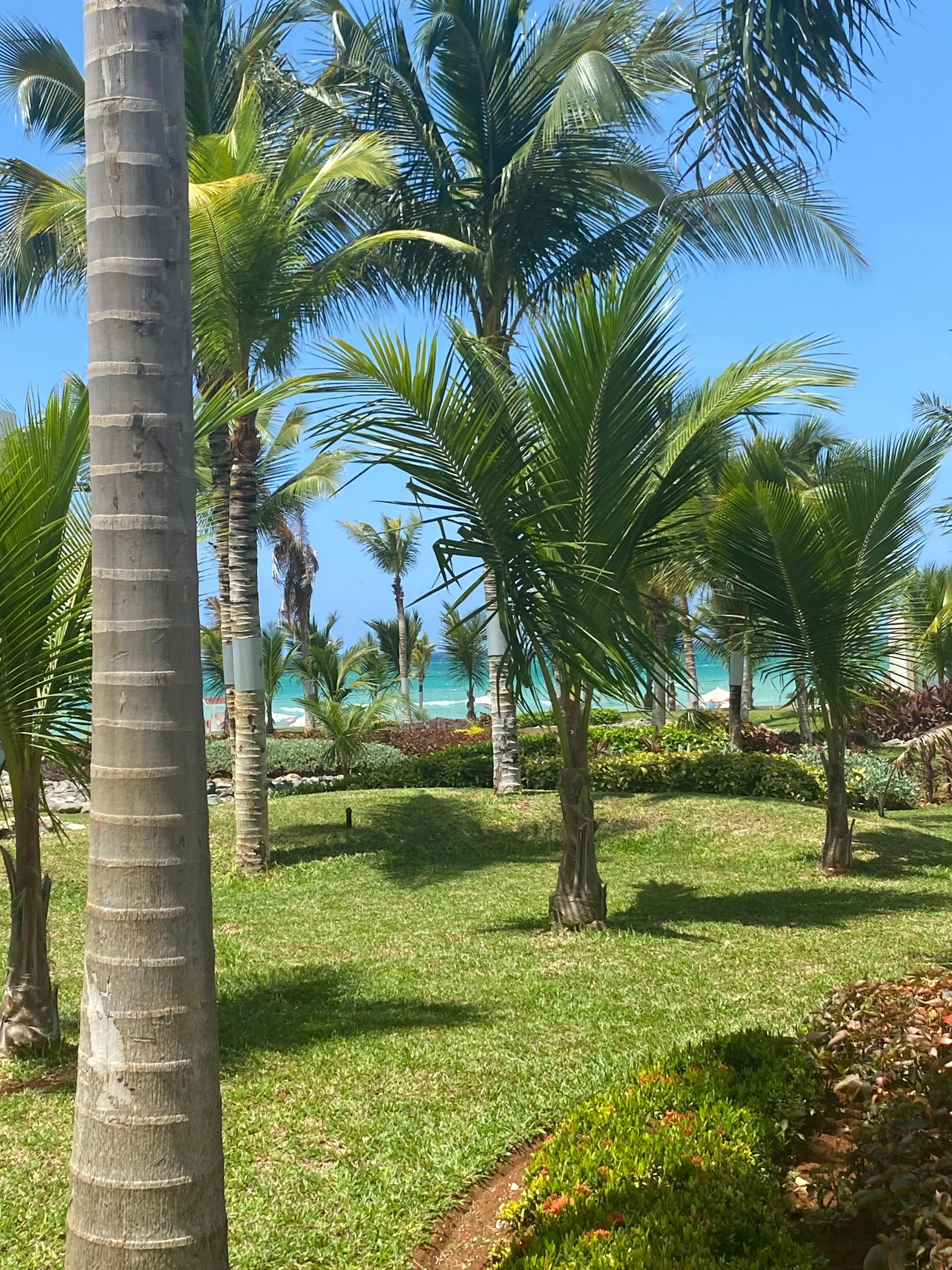 The grounds while walking to the pool