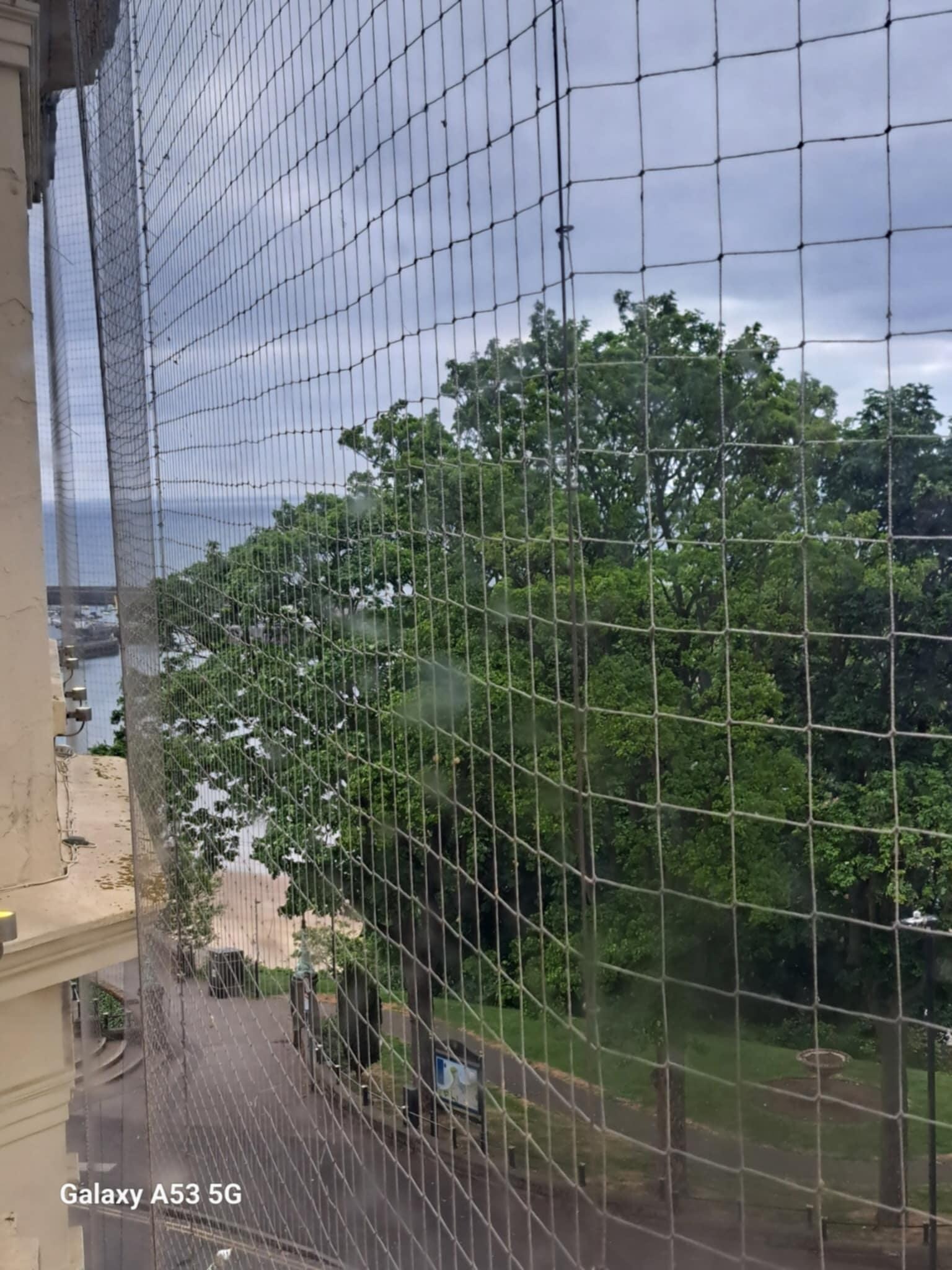 another glorious Sea View?