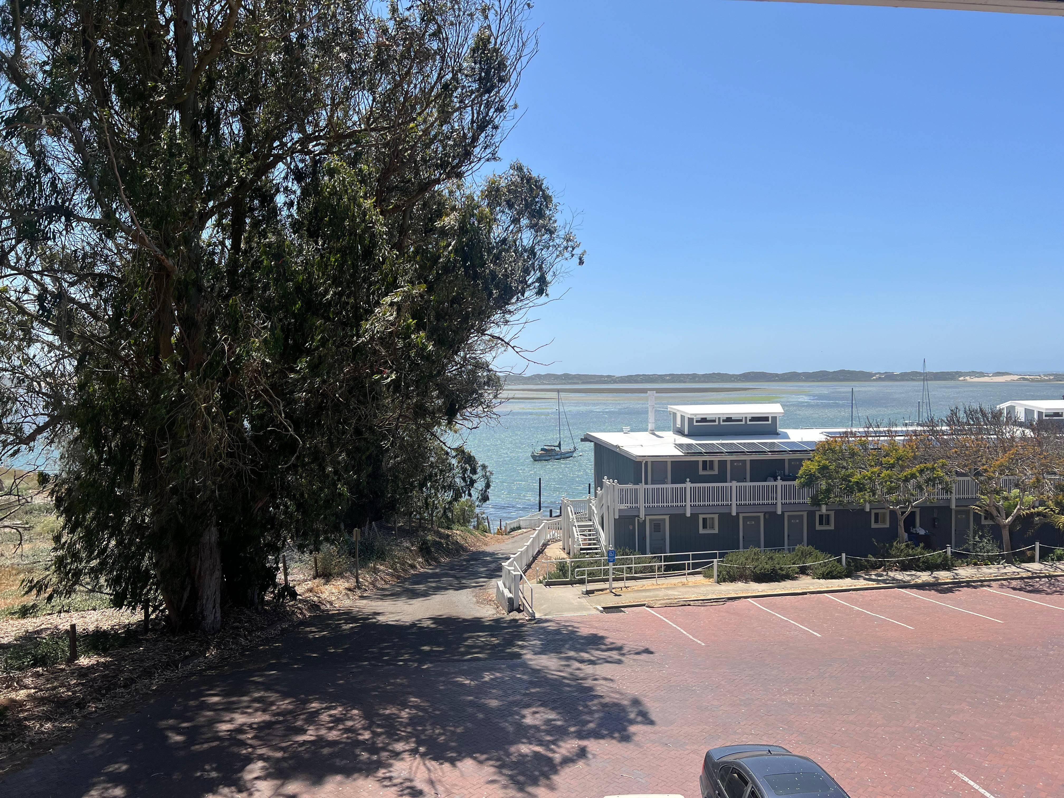 View from hotel
