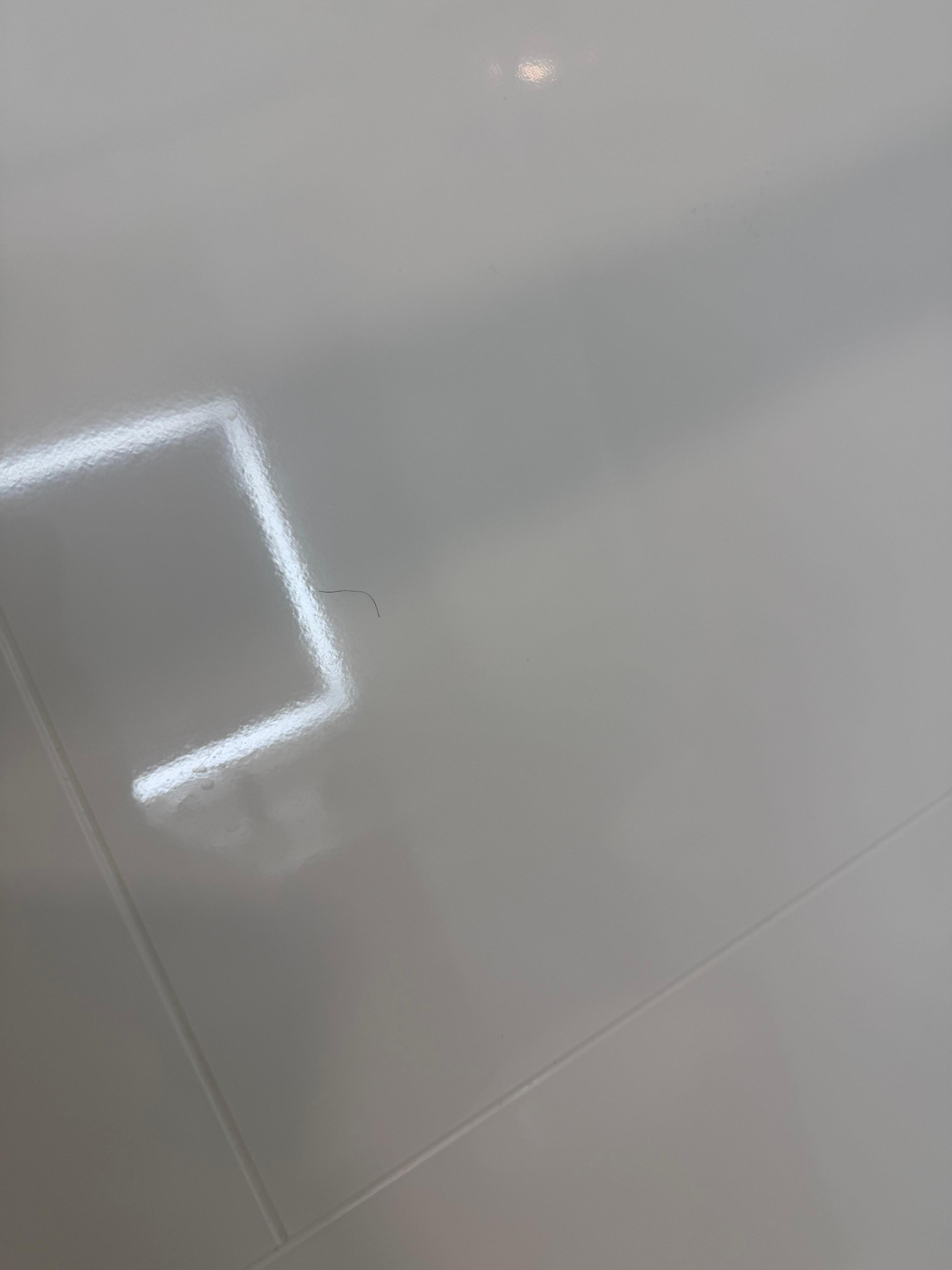 Hair on the shower wall