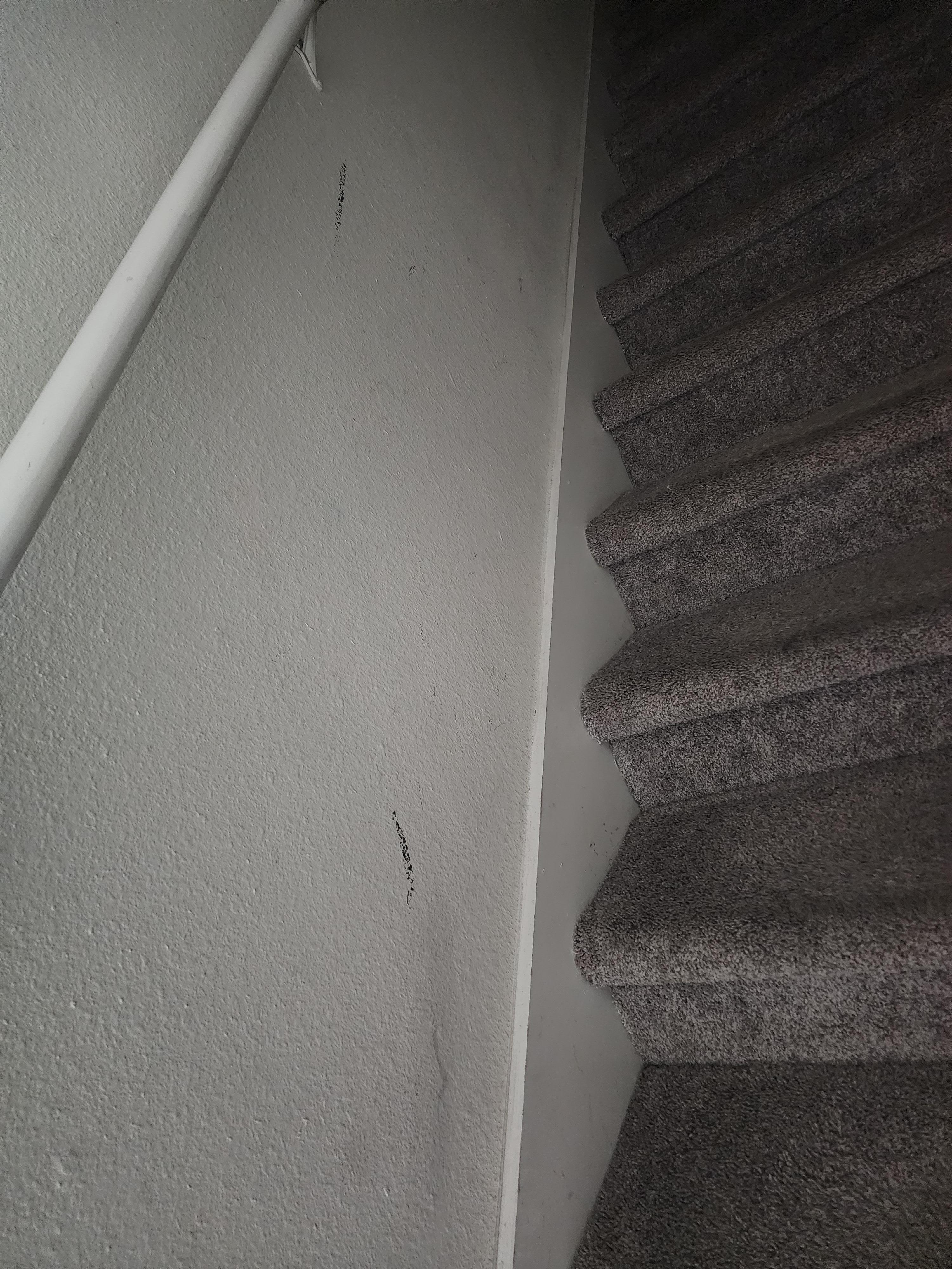 Black marks up the wall