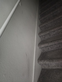 Black marks up the wall