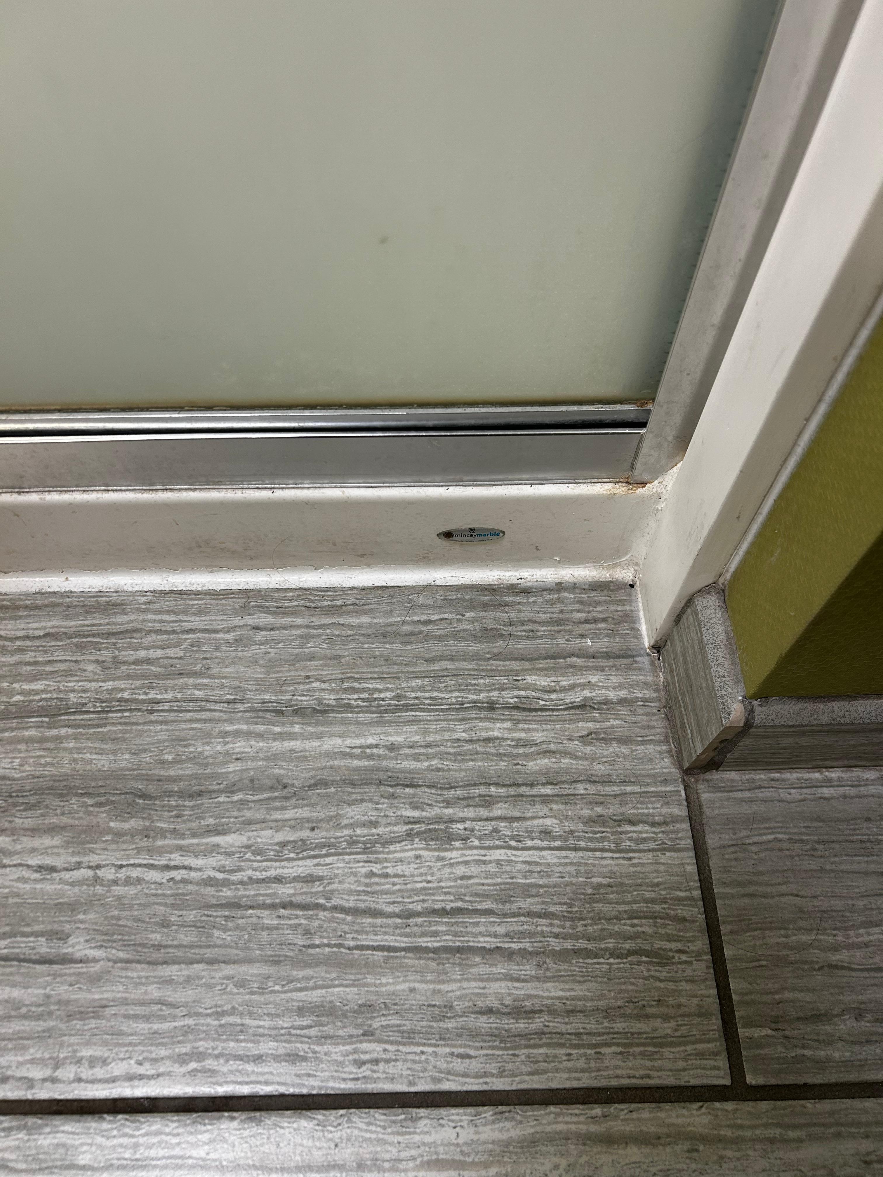 Hair and dirt ion bathroom floor