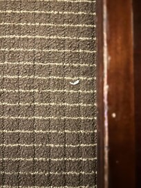 Avía una uña al lado del armario