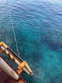 Ladder to the water in the backyard