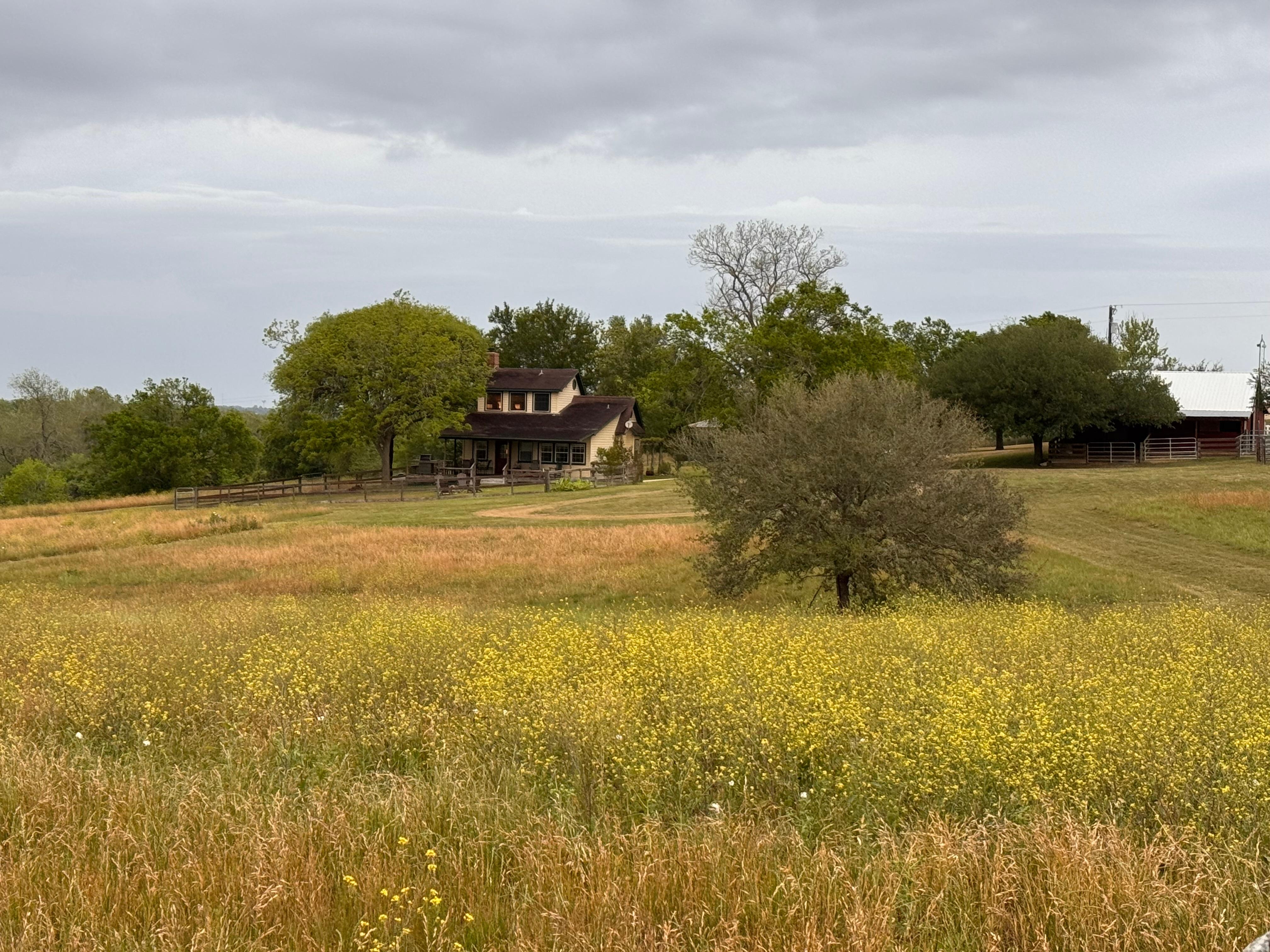 This is the house from the start of the walking trails in back. Pictures don’t fully show how beautiful it is. 