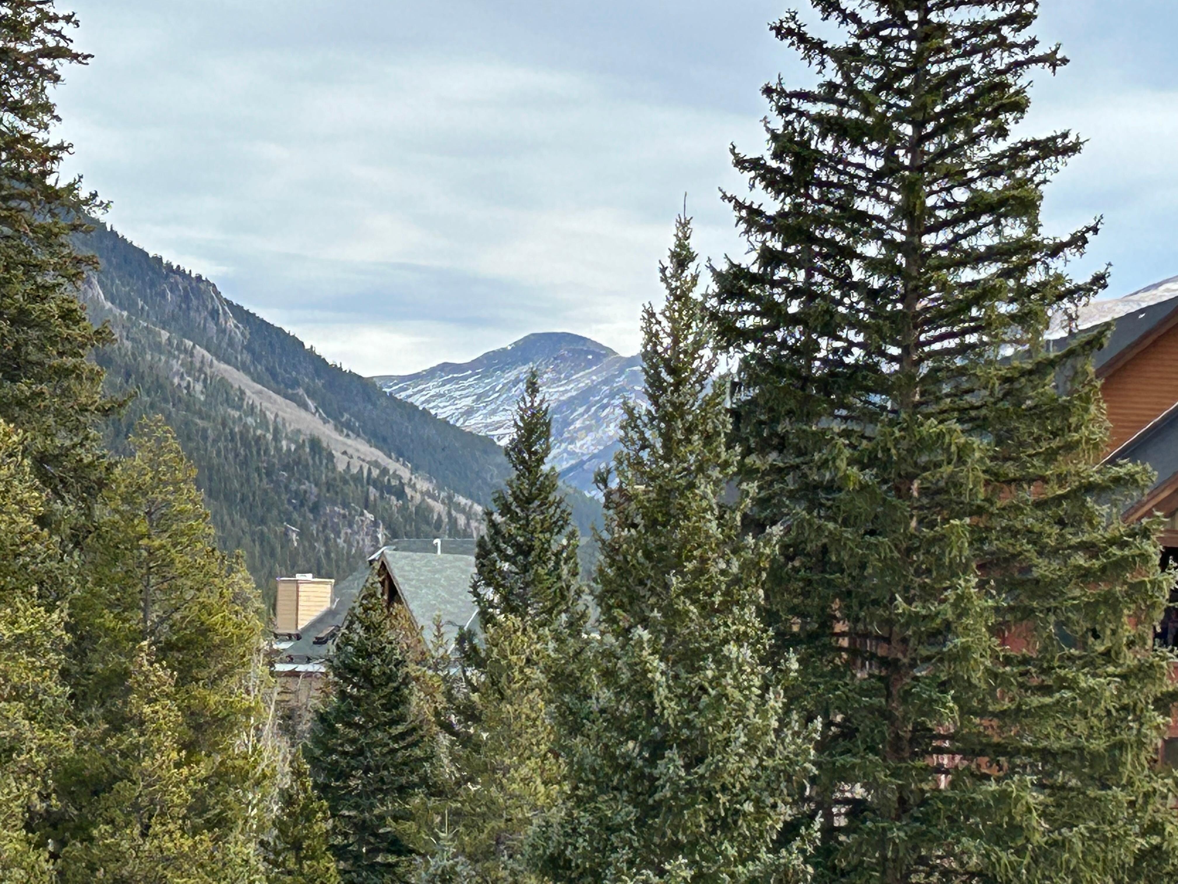 View from living room