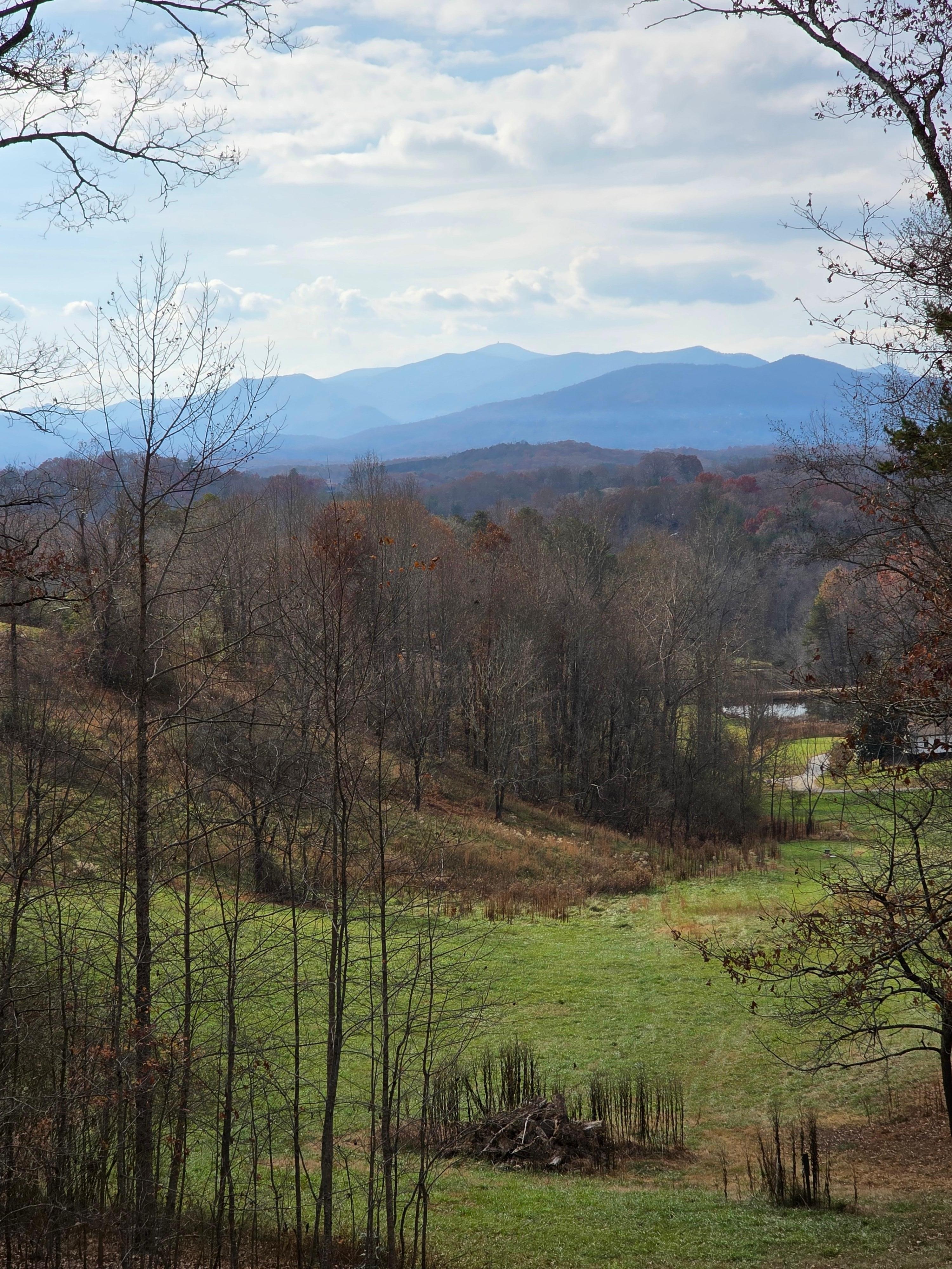 View from bottom floor swing.