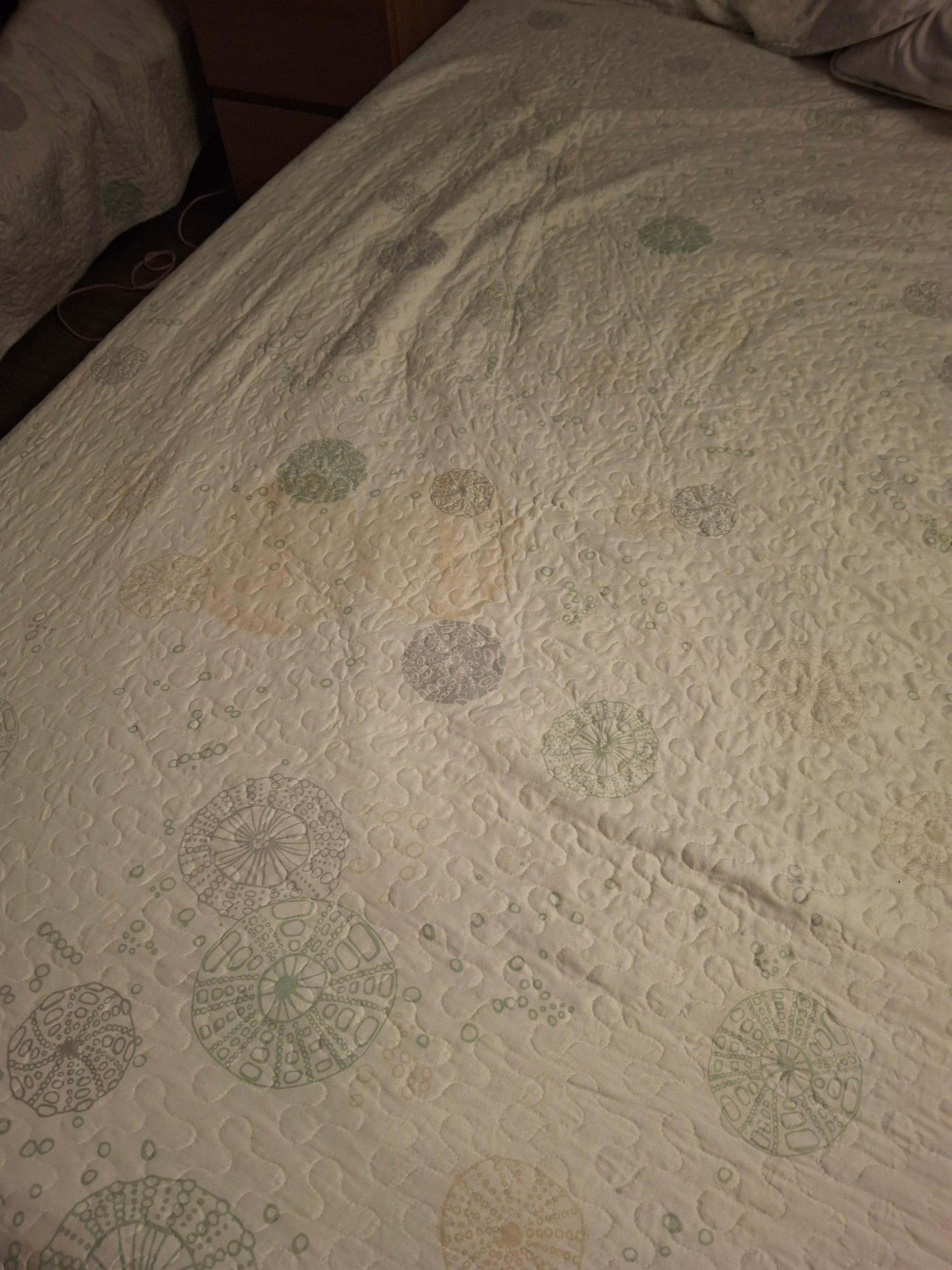 Stain on bedspread