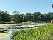 Views on the community walk across the road.