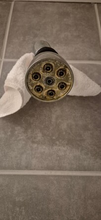 Limescale in the shower head.