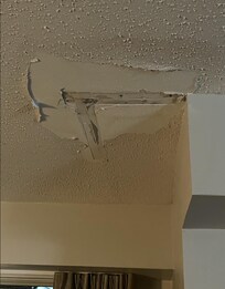 damaged ceiling near foot of bed & rusted air vents. water leak.
other parts of room were also in poor condition - large dents in refrigerator door, mildew in shower.