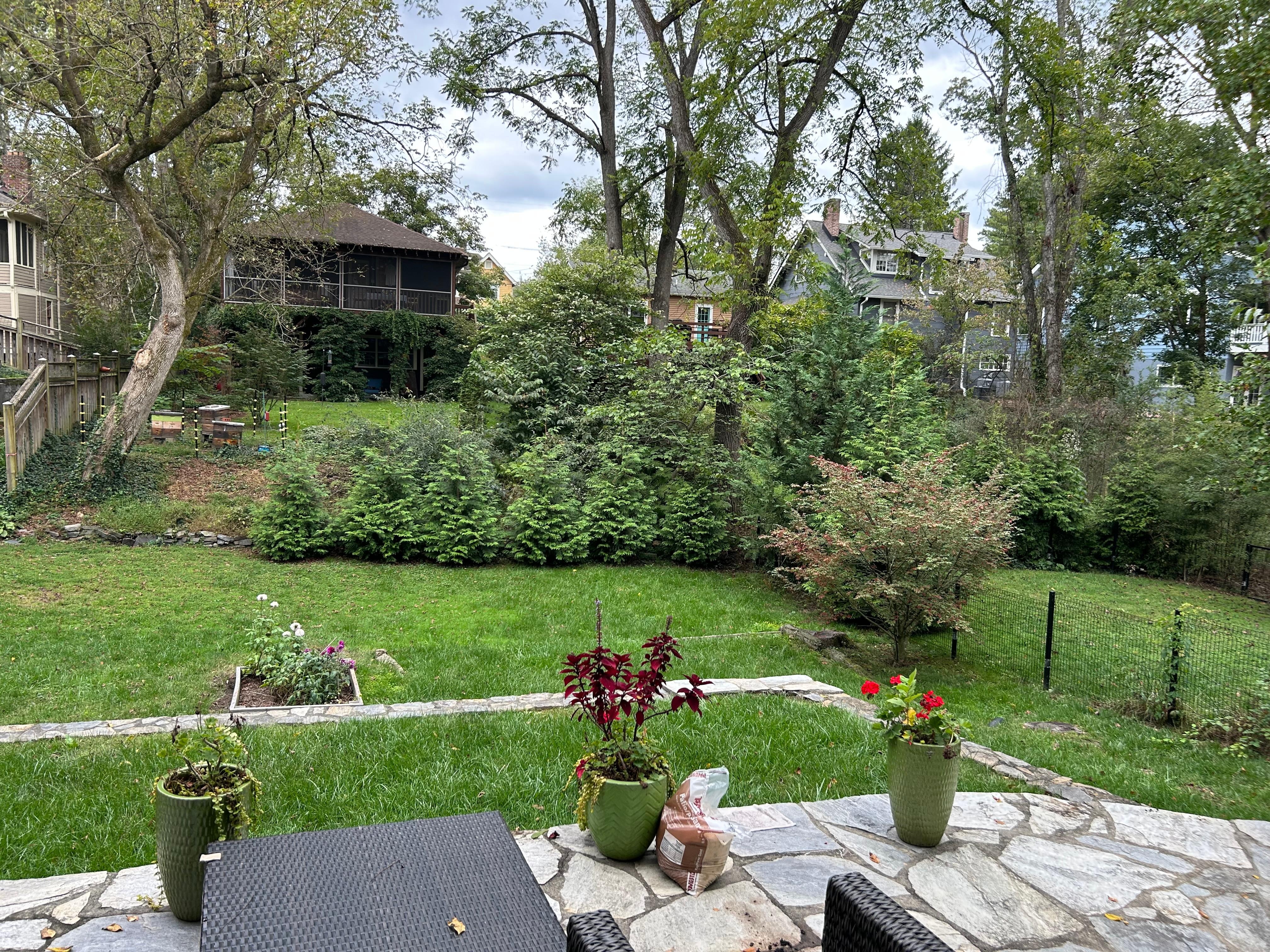 Pic of the beautiful green area right outside the door. 