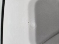 Ants on the bathroom sink.