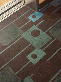 Filthy floor in hallway.