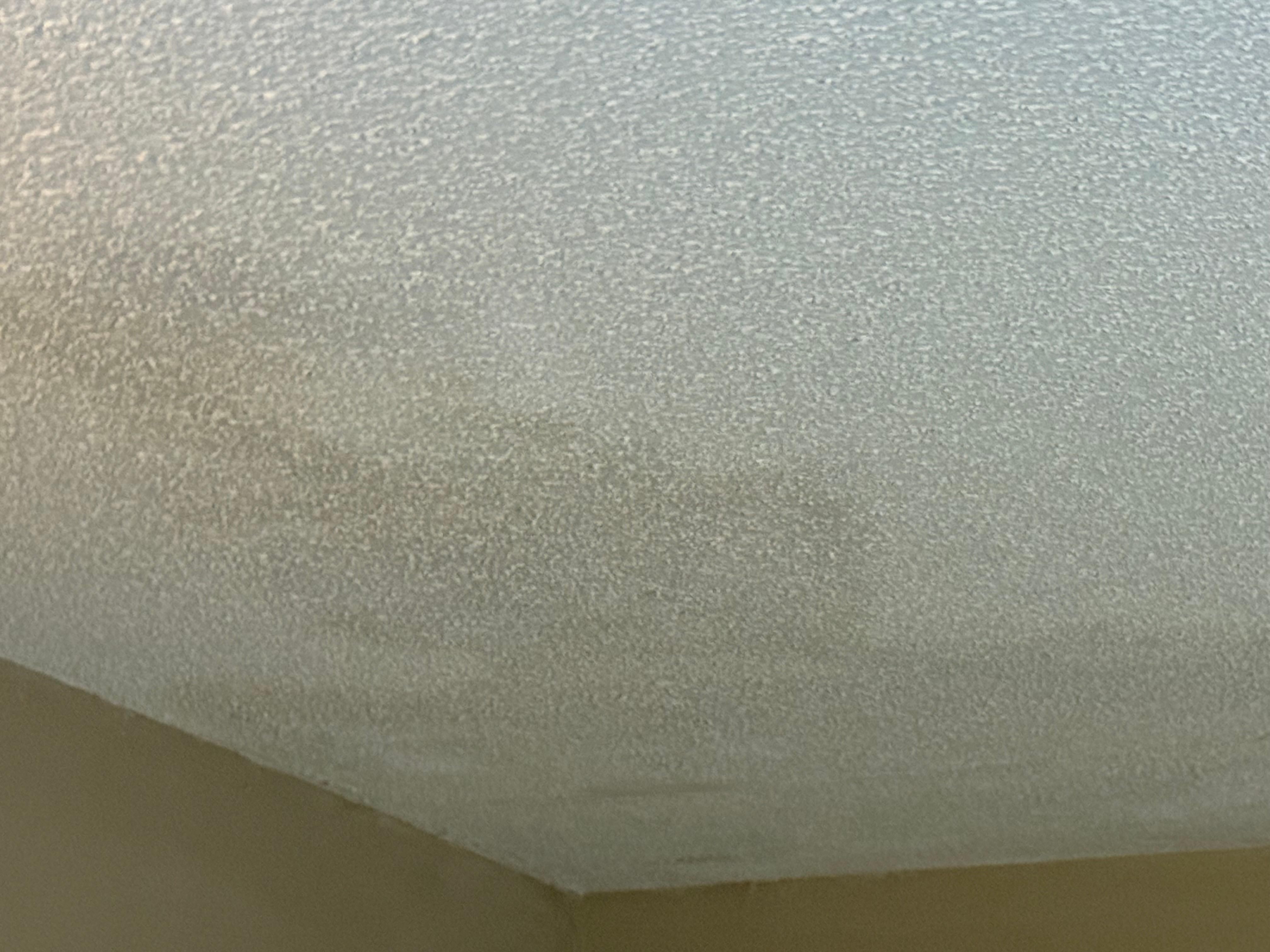 Did someone leave the window open?