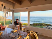 Watching sea life - birds, otters and surfers