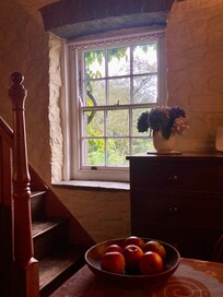 I was given apples freshly picked from the orchard