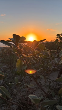 Sunrise from the dunes.
